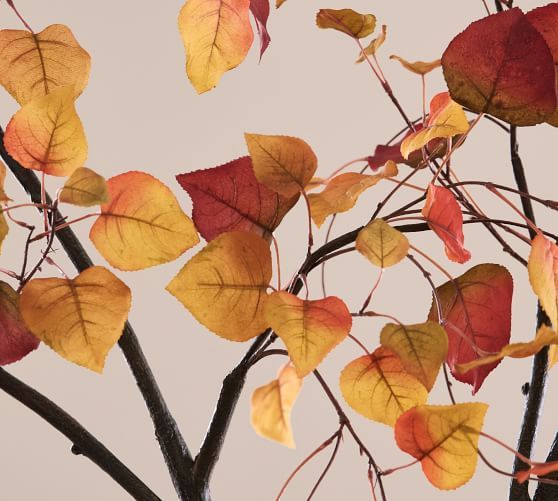 Faux Oversized Autumn Aspen Tree Branch - 60" | Pottery Barn (US)