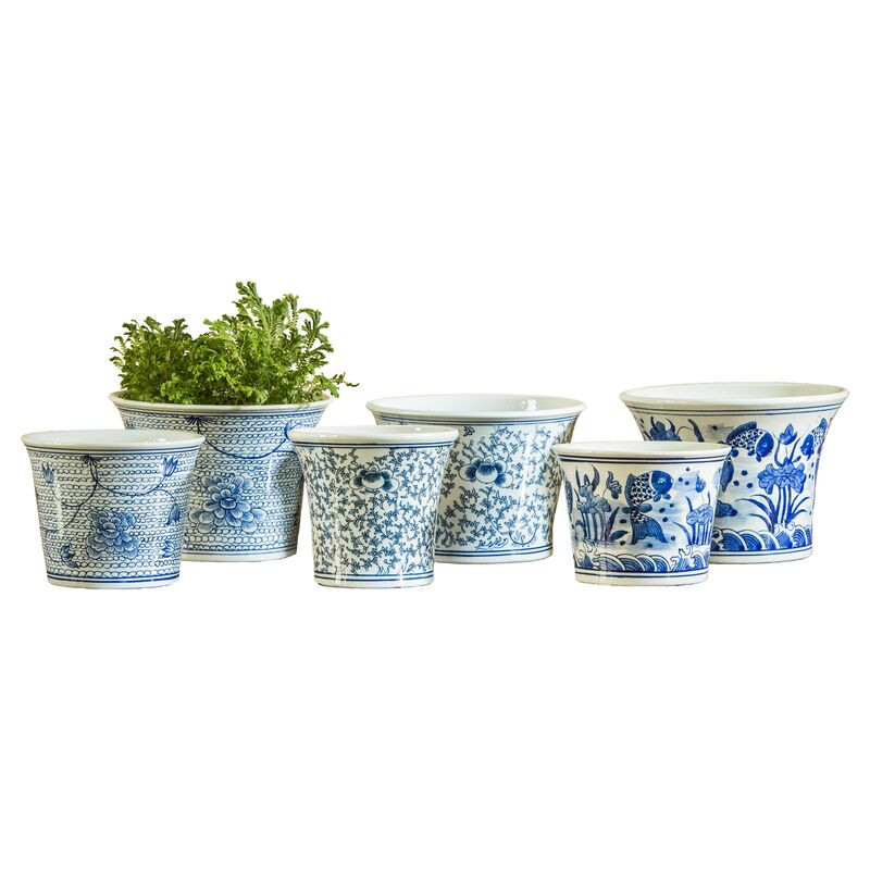 Asst. of 6 Flared Planters, Multi | One Kings Lane