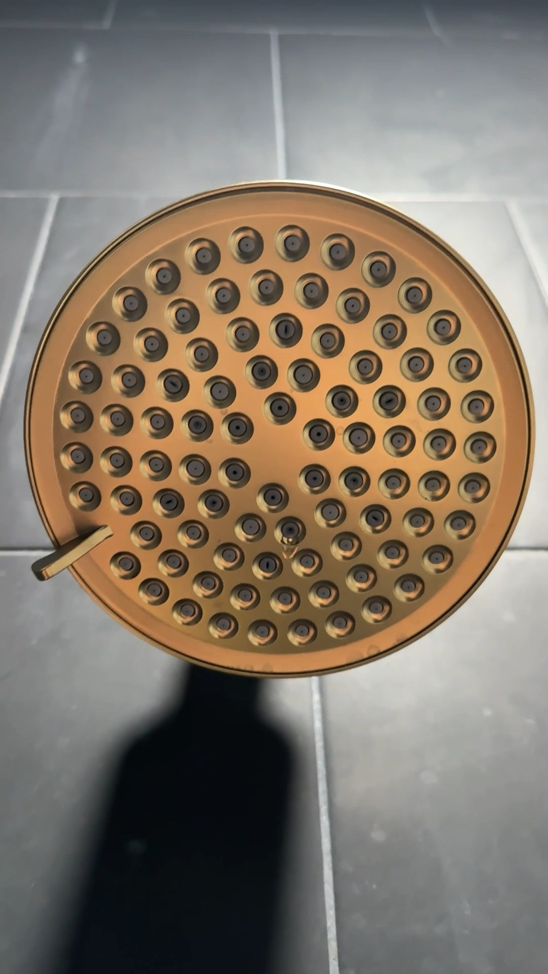 Shower head that filters your water. Under $50 and easy to install  

#LTKdayinmylife #LTKHome #LTKFindsUnder50