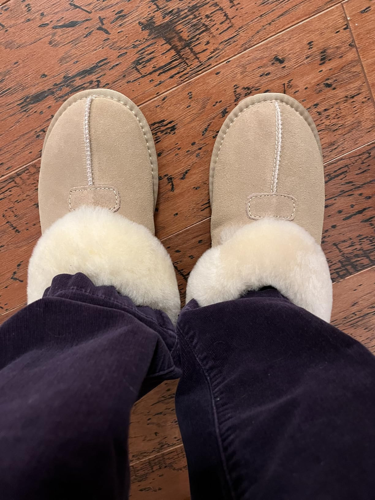 Project Cloud 100% Genuine Leather & Australian Shearling Slippers for Women - Cozy Memory Foam W... | Amazon (US)