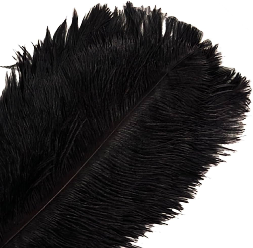 Natural Black Ostrich Feathers 10Pcs Bulk,8-10 inch (20-25cm) Beautiful Long Feather for Crafts,W... | Amazon (CA)
