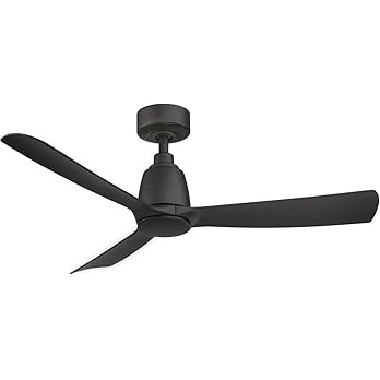 Fanimation Kute Indoor/Outdoor Ceiling Fan with Black Blades 44 inch - Black | Amazon (US)