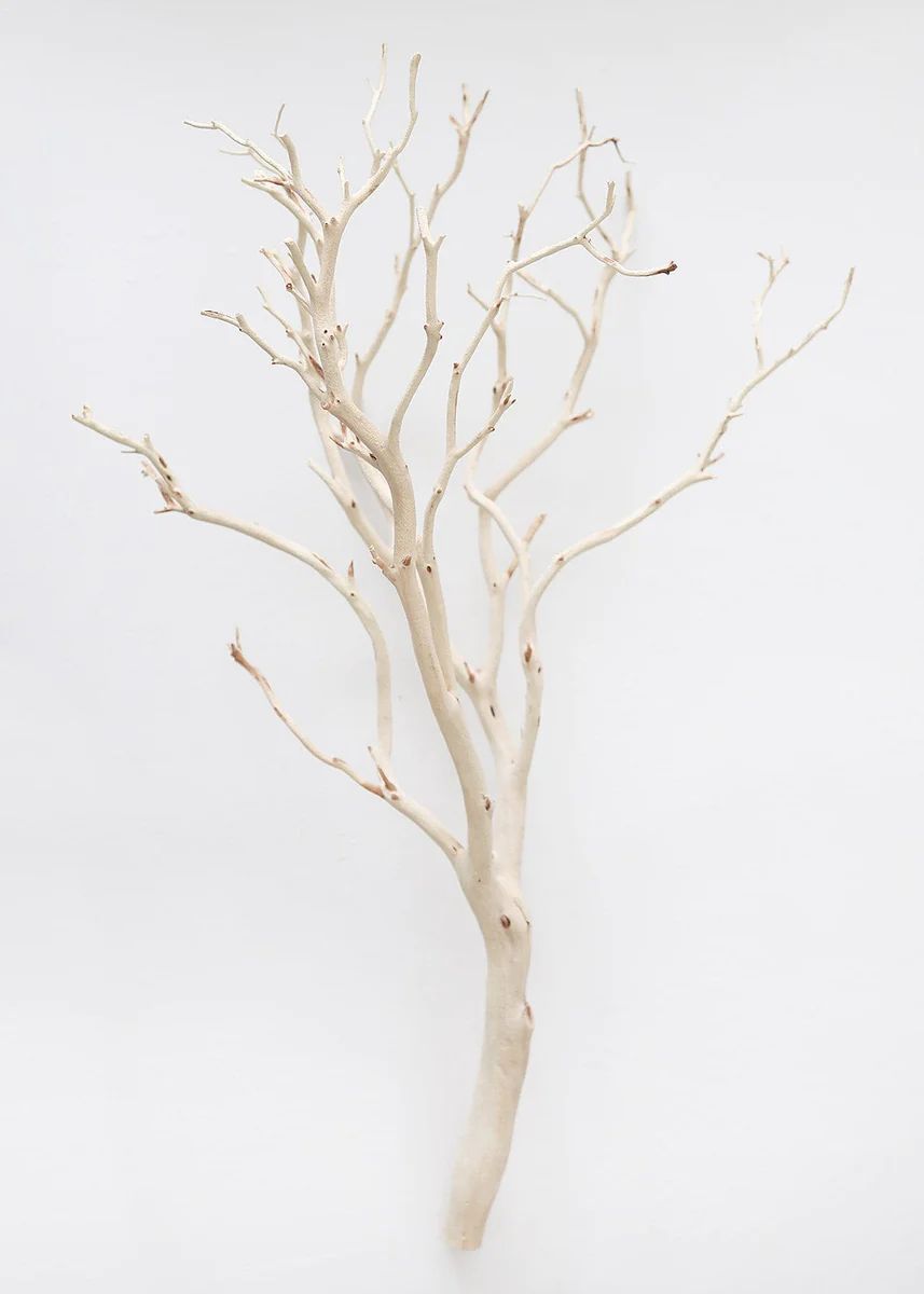Dried Decor Sandblasted Manzanita Branch - 34-38 | Afloral (US)