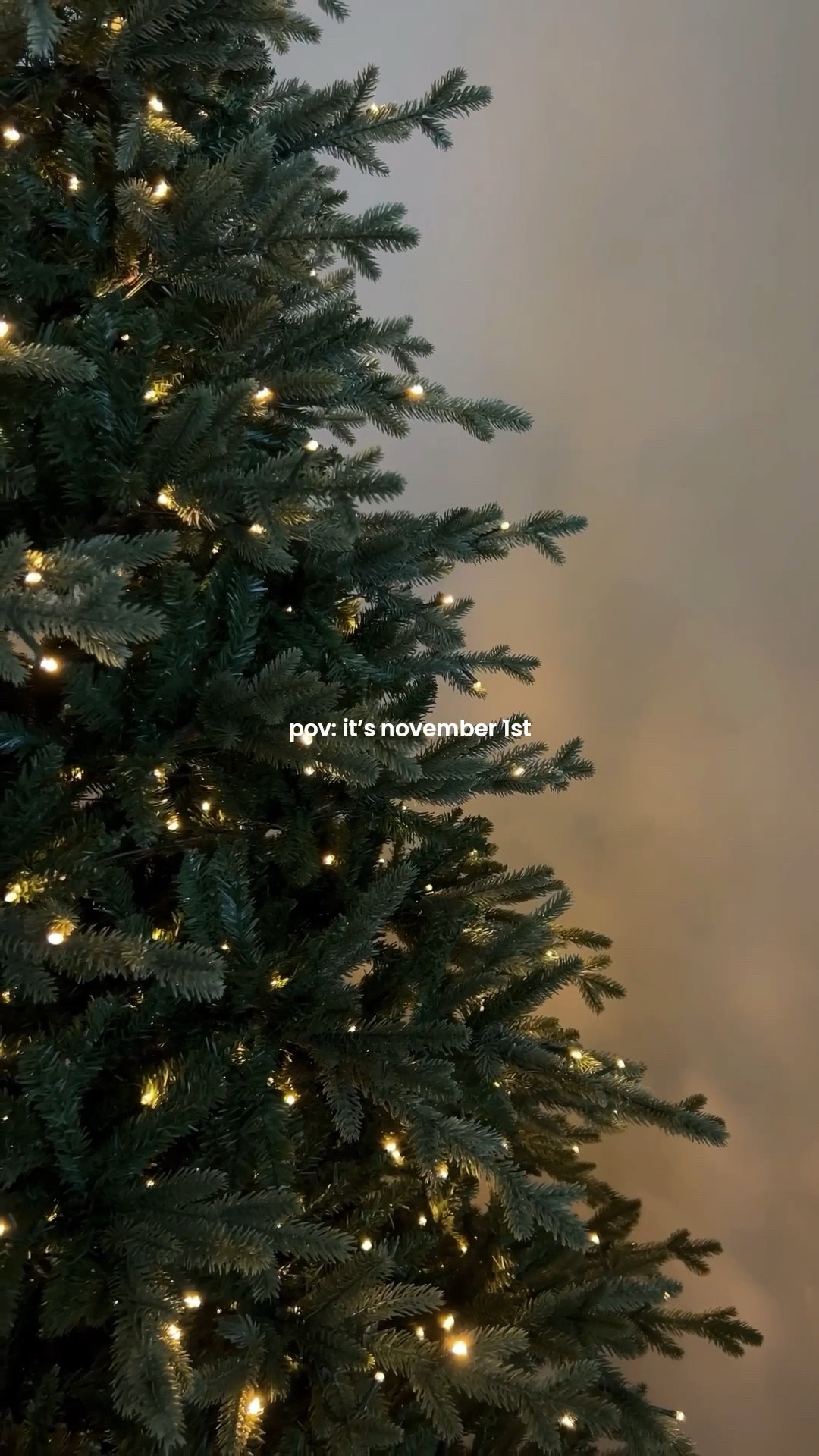 pov: it’s november 1st & you’ve got that itch again 🎄✨🫶🏼 spending the day setting our tree up, but wanted to go ahead & share the one we got last year & LOVE in case you’re in the market for a new one 🎅🏼 spoiler alert, she’s 9ft & under $400 😌 

#christmasdecorating #november1st #christmasaesthetic #christmastree 

#LTKHome #LTKHoliday #LTKSeasonal