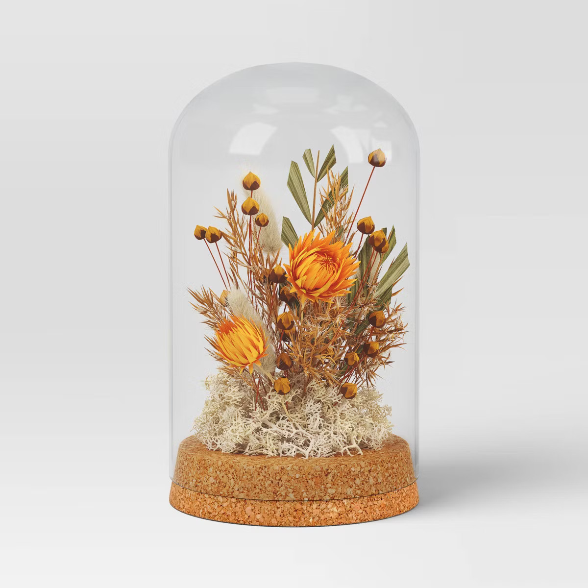 Small Preserved Cloche - Threshold™ | Target