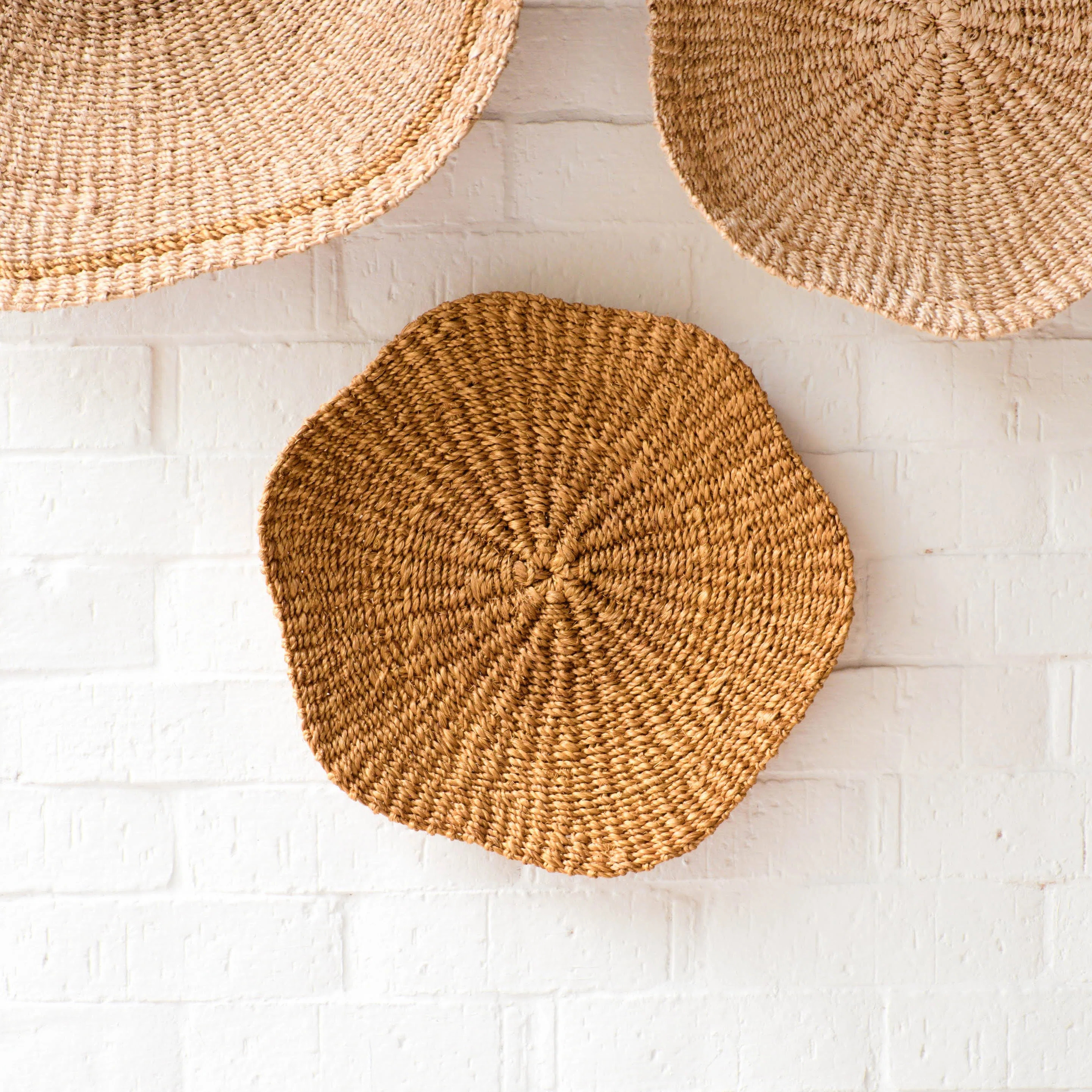 Medium Scallop Wall Basket | Wayfair North America