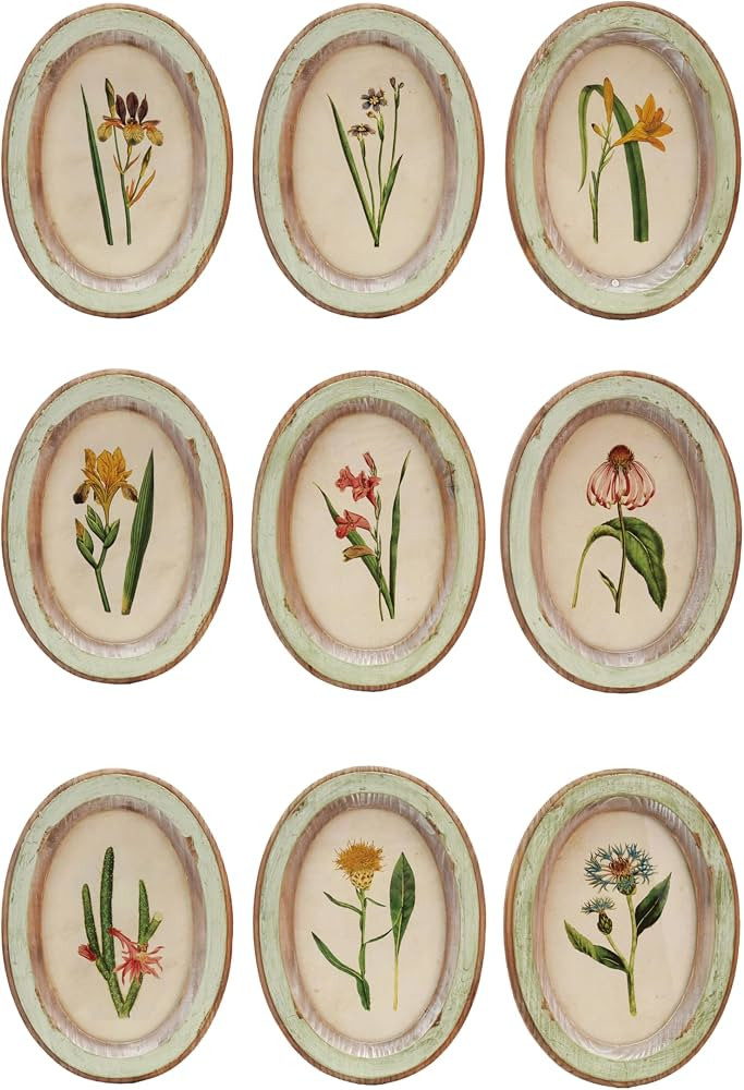 Creative Co-Op 9-Piece Wood Framed Glass Wall Decor with Flower, Multicolor | Amazon (US)
