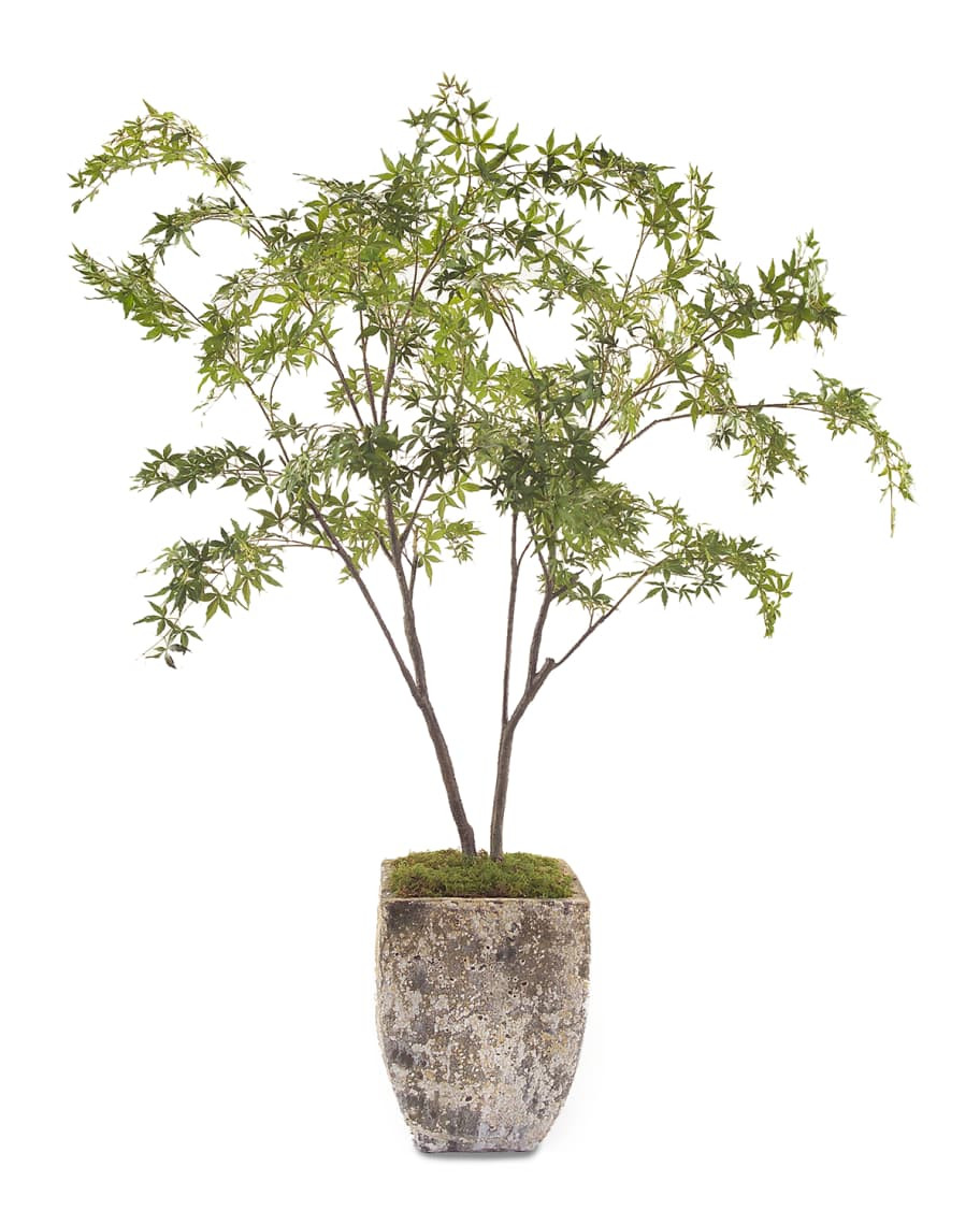 John-Richard Collection Two Maples | Horchow