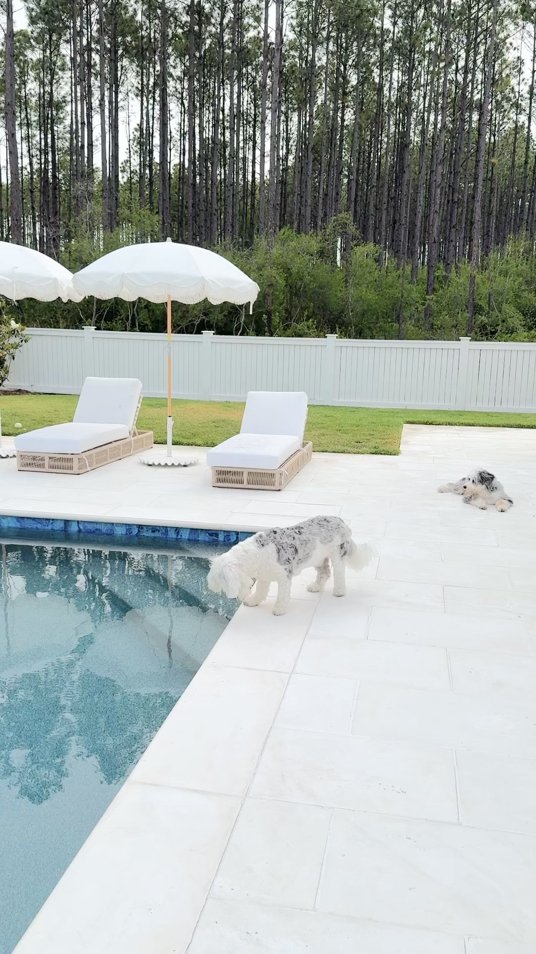 Patio furniture. Outdoor furniture.  

#LTKsalealert #LTKhome #LTKstyletip