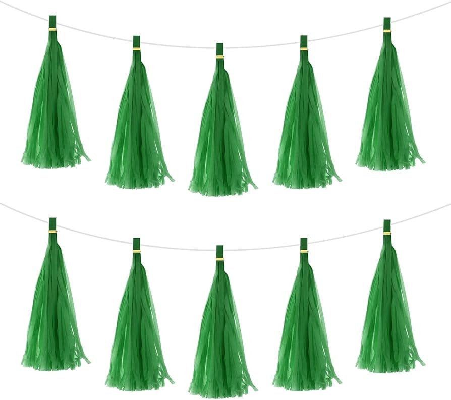 MECCANIXITY 50Pcs Dark Green Tassel Garland Banner with Rope Tissue Paper Tassels Party DIY Kits ... | Amazon (US)