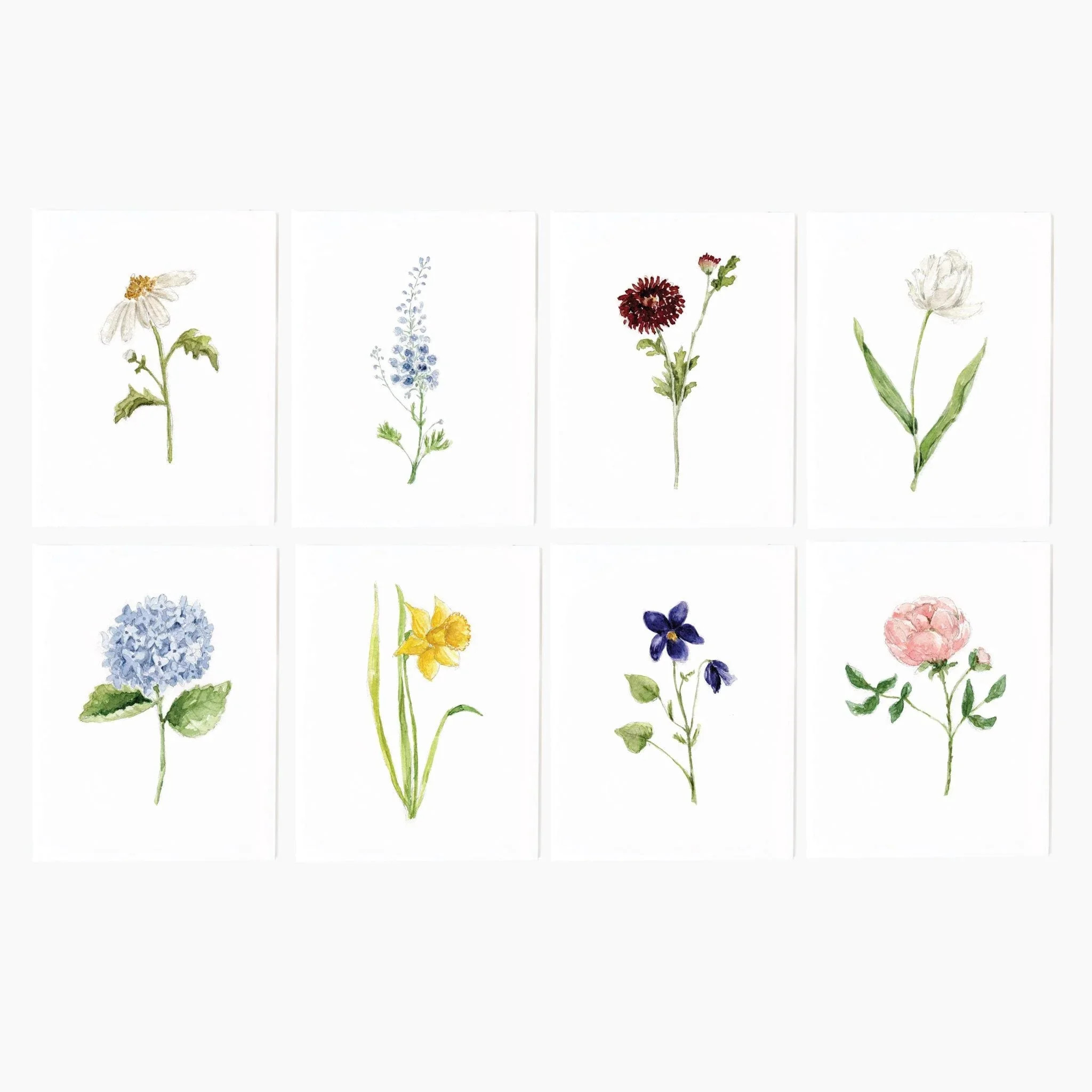 garden flowers assorted notecard set | Emily Lex Studio