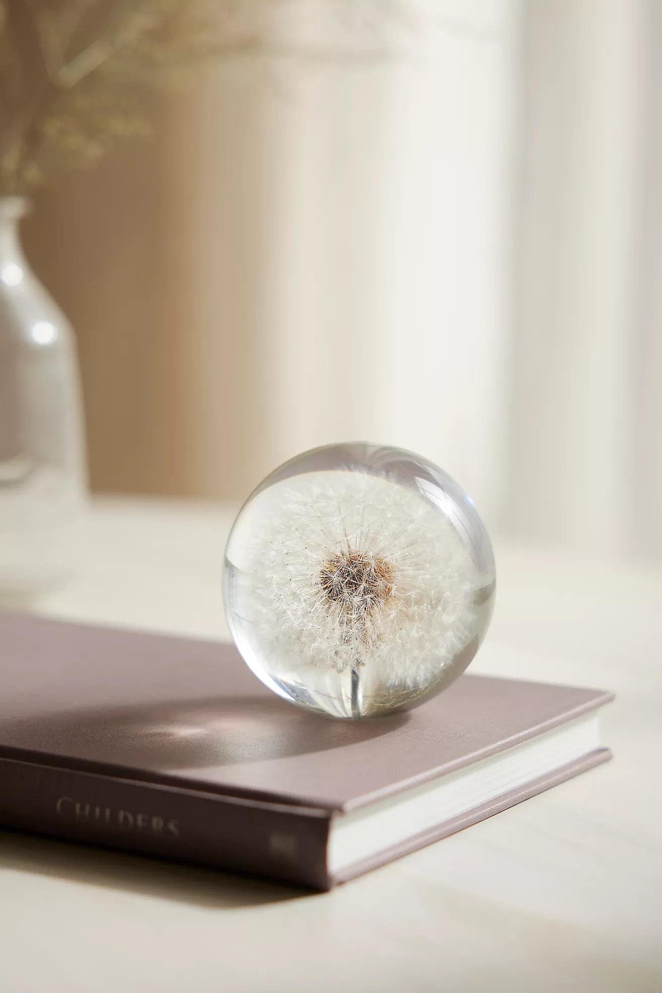 Botanical Resin Paperweight | Anthropologie (US)
