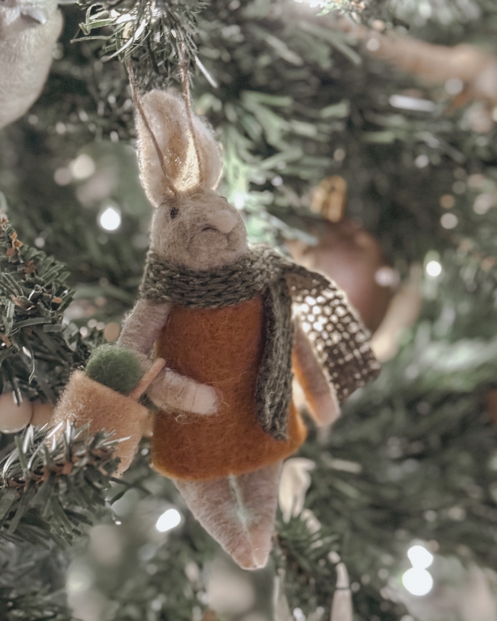 Some bunny is excited for Christmas 🤎🐰🪴👩🏻‍🌾

#LTKHoliday #LTKhome #LTKSeasonal