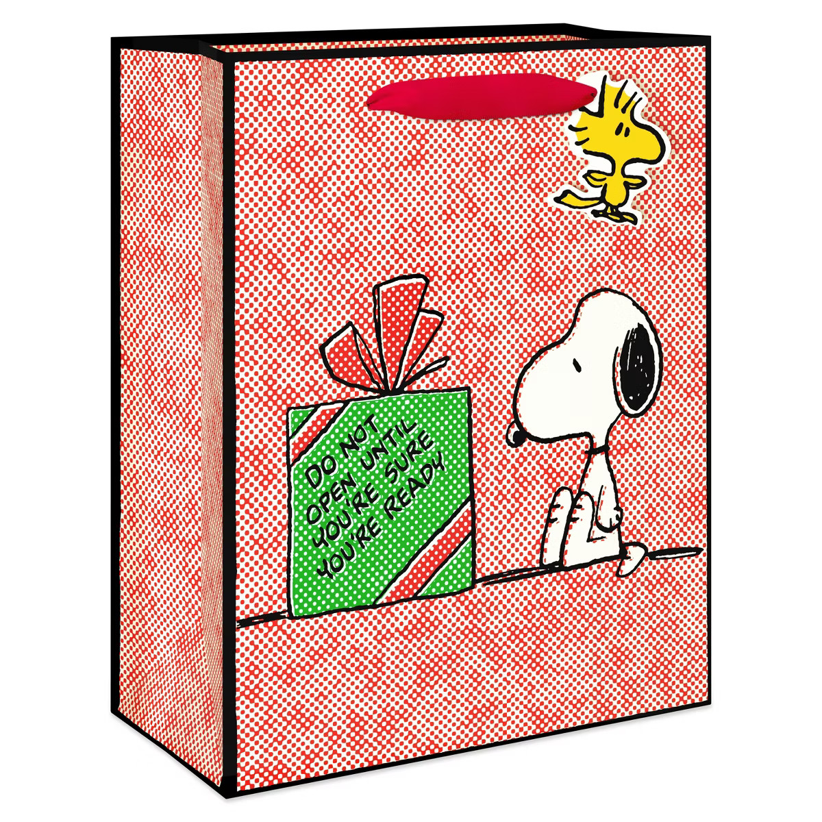 American Greetings 7.75"x4"x9.75" Peanuts Cub Snoopy and Present | Target