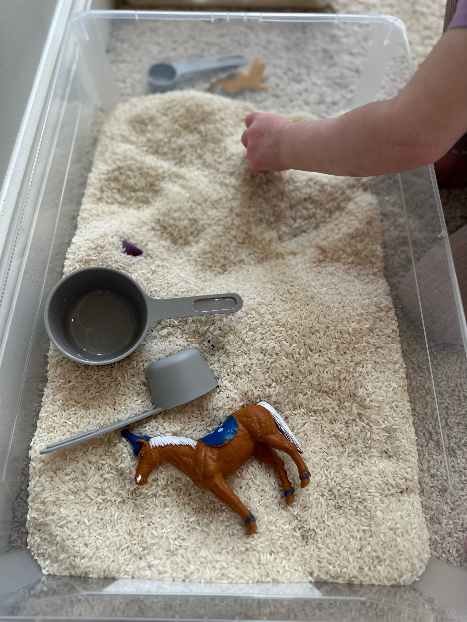 Sensory Bin — made simple! 👏🏻👏🏻💯 I grabbed these bins, a 10 lb bag of rice, and some measuring cups/spoons. Used little toys we already own and bam! It’s messy but they’re having fun! #target #targetfinds #roomessentials #sensorybin 

#LTKunder50 #LTKfamily