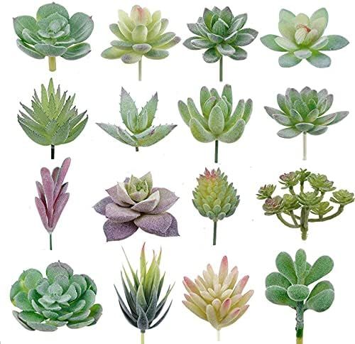 Artificial Succulent Plants Unpotted - Premium Pack of Small Fake Succulent Plants - Realistic Fa... | Amazon (US)
