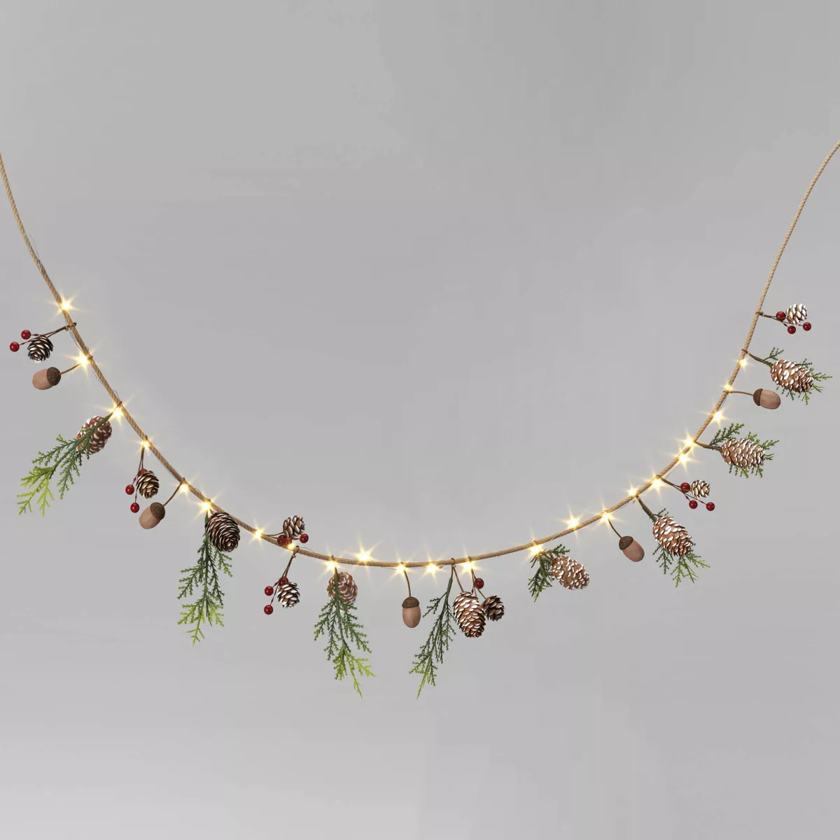6' Battery Operated Lit Pinecone with Acorns and Berries Decorative Christmas Wall Garland Brown/... | Target