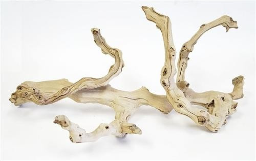 Twisted Wood Branch | Megan Molten