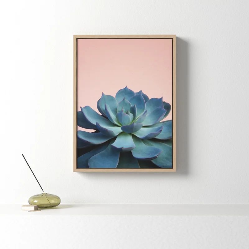 Melby Succulent 10 by F21images - Photograph on Canvas | Wayfair North America