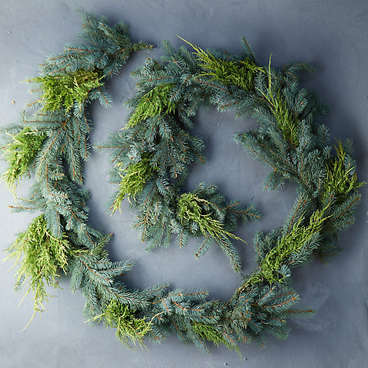 Fresh Juniper + Noble Fir Garland | Terrain