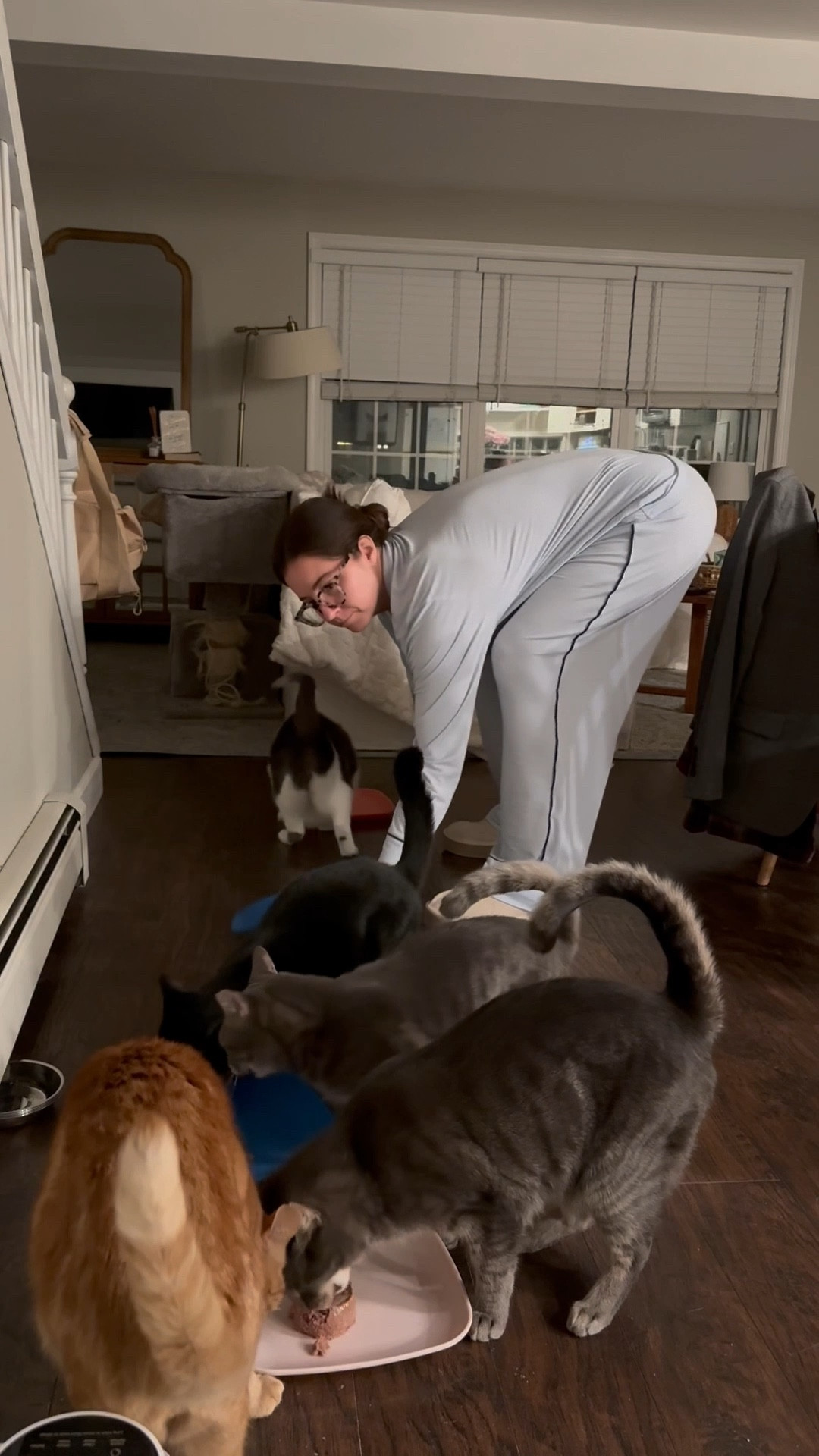 My 6am morning routine!! Self employed, married & no kids (except my cats hehe) 

Colleen Rothschild code - LAURENROSE20

Pajamas - size small 
Jeans - true size 
Sweatshirt - size M 
Shoes - tts 

#LTKFindsUnder100 #LTKWatchNow #LTKFindsUnder50