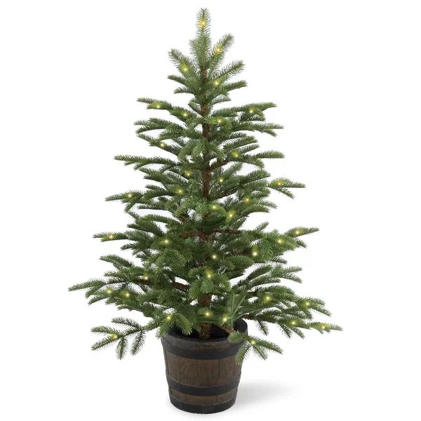 4' H Green Realistic Artificial Spruce Christmas Tree with 100 Lights | Wayfair Professional