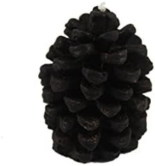 Beeswax Pinecone Candle (Chubby Pinecone, Black) | Amazon (US)