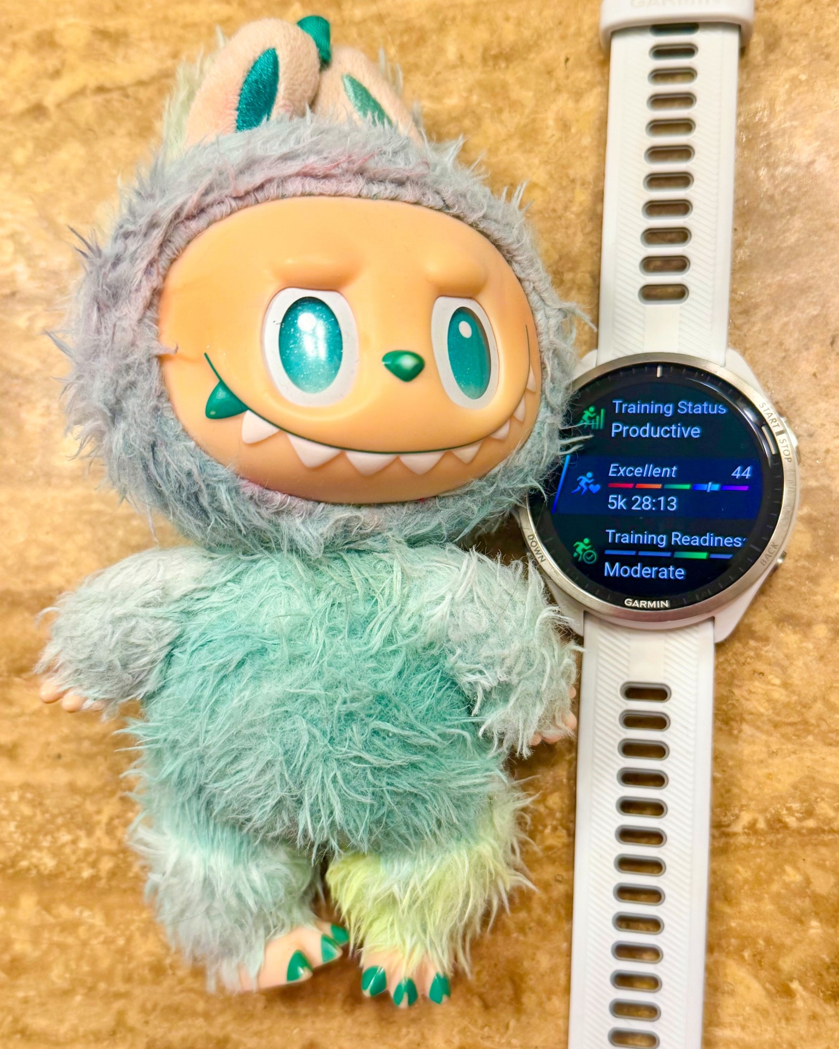 Garmin is still flattering me. I’ll take it! 🤷‍♀️

#LTKfitnessgoals #LTKmorningroutine #LTKActive