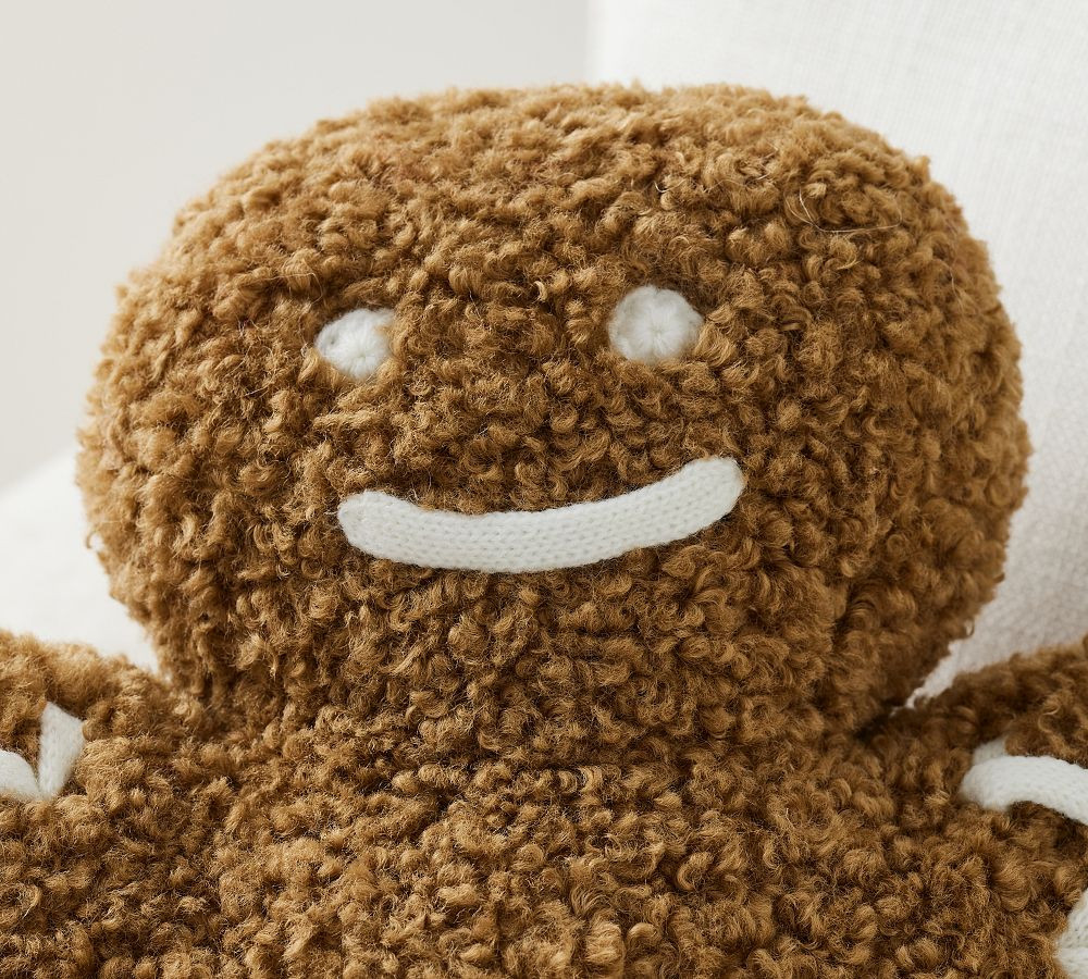 Mr. Spice Gingerbread Pillow | Pottery Barn (US)