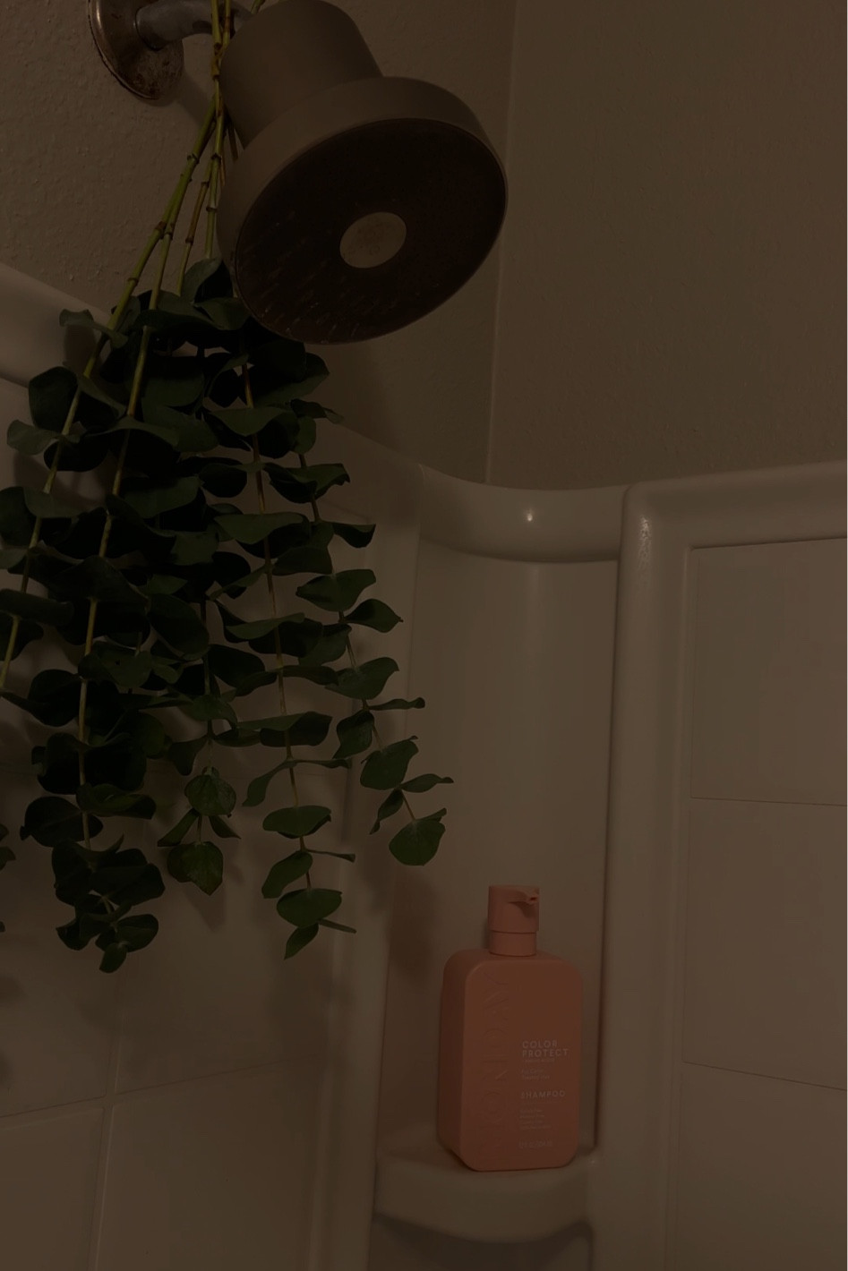Sunday reset 🧘‍♀️🛀





Jolie shower head, jolie filter, filtered shower head, relaxation, shower necessities, bathroom finds, monday haircare, color shampoo , volume shampoo 

#LTKBeauty #LTKBacktoSchool #LTKStyleTip