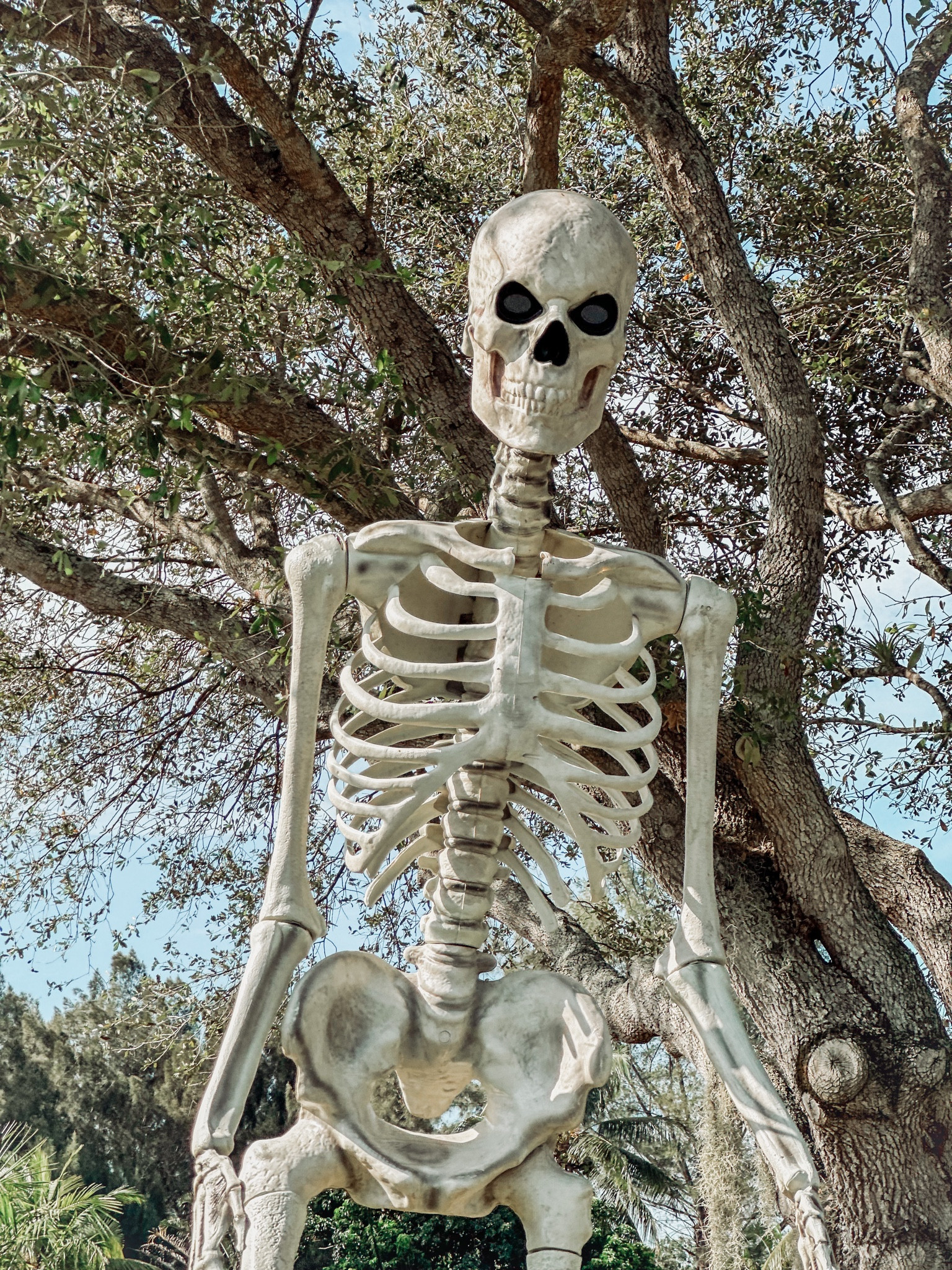 He back! RUN 

#LTKhome #LTKSeasonal #LTKBacktoSchool