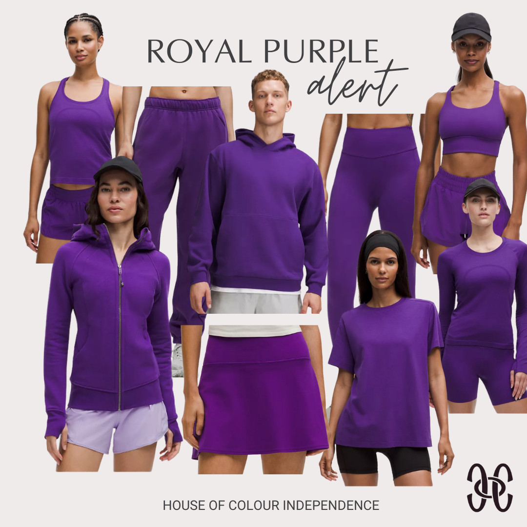 Royal Purple siting for our  and  fans. I am curious if a spring could wear this color too. Has anyone seen it in person yet? 

 #hocautumn #hocwinter