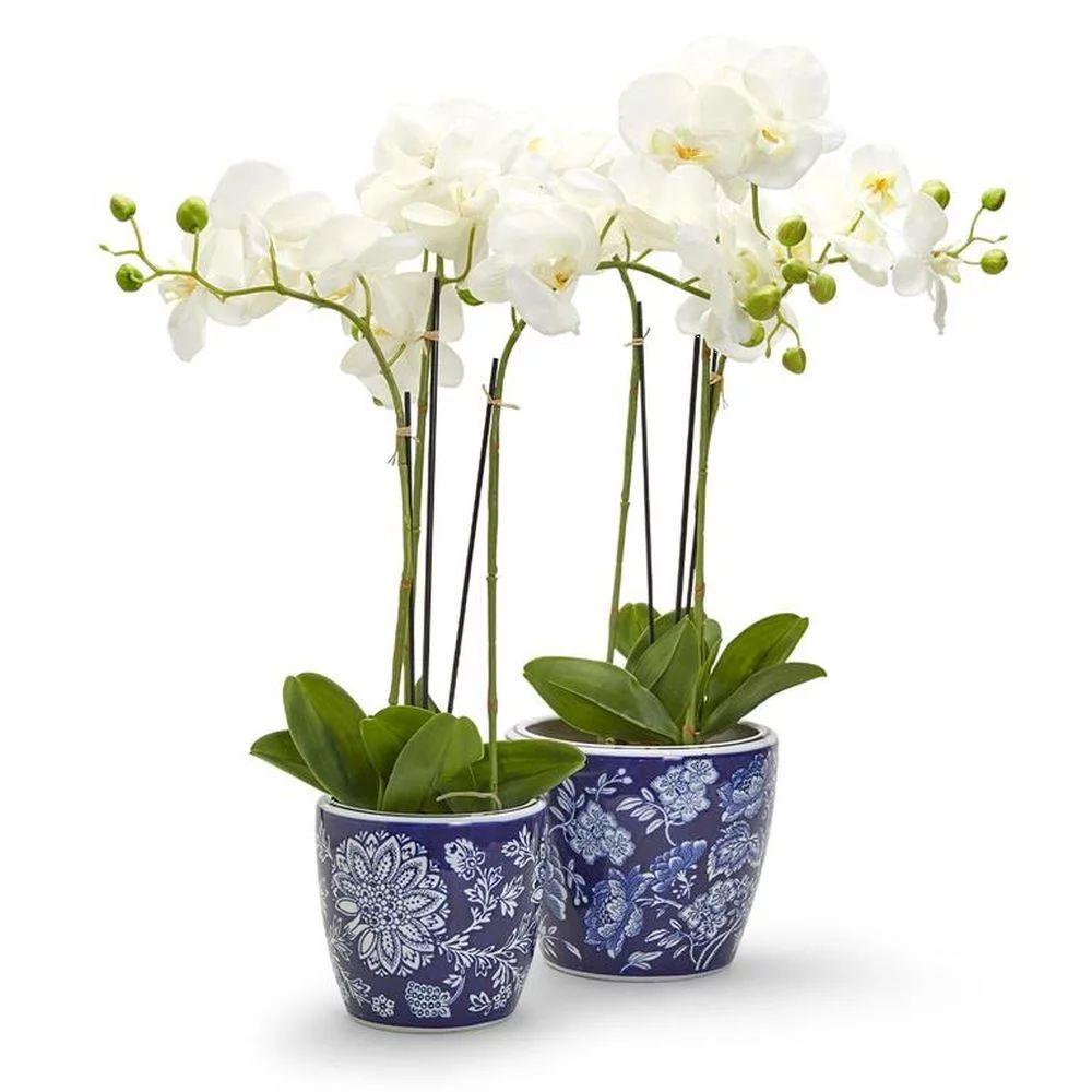 Two's Company Floral Fantasy Blue and White Porcelain Planters, Set of 2 | Walmart (US)