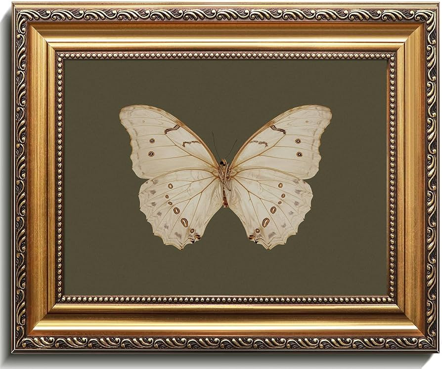 Uniro Vintage Gold Framed Wall Art, Classical Butterfly Oil Paintings, Dark Moody Insect Canvas P... | Amazon (US)