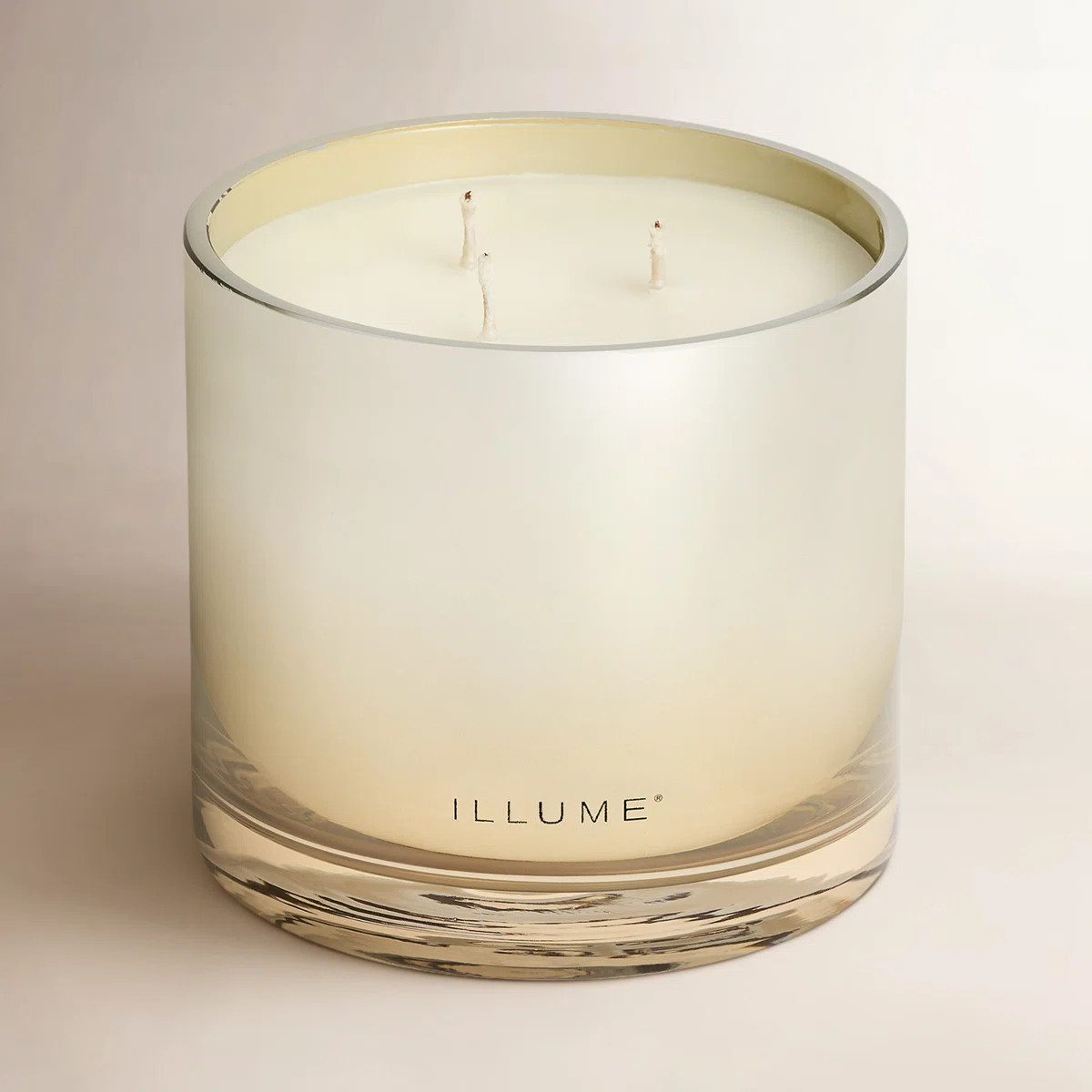 Beautifully Done Statement Glass Candle, Isla Lily | Wayfair North America