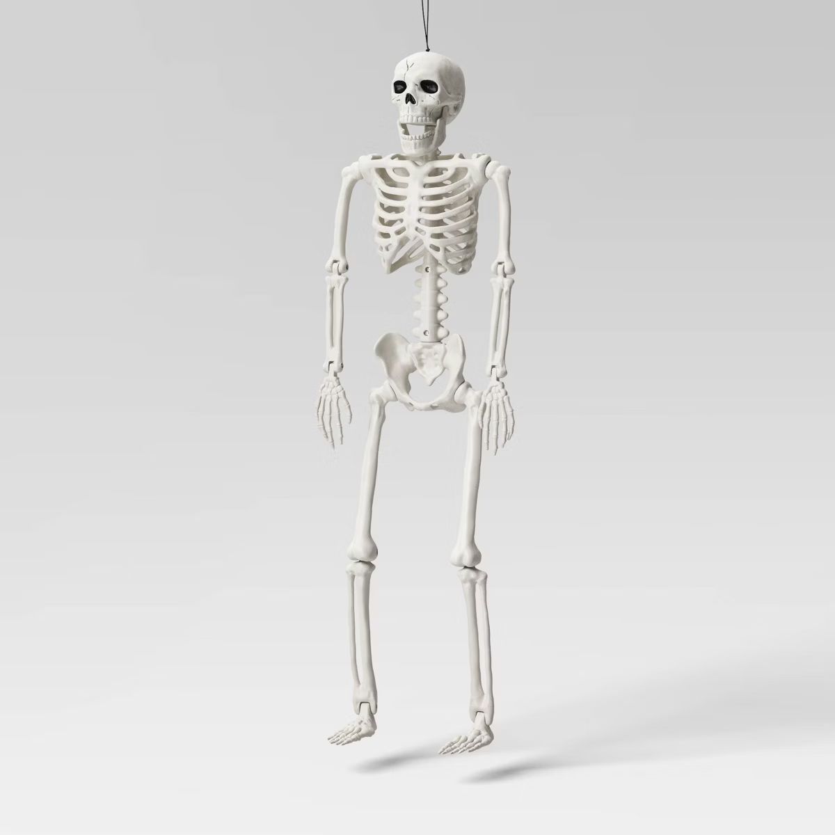 24" Posable Skeleton Halloween Decorative Mannequin - Hyde & EEK! Boutique™: Realistic, Indoor/... | Target