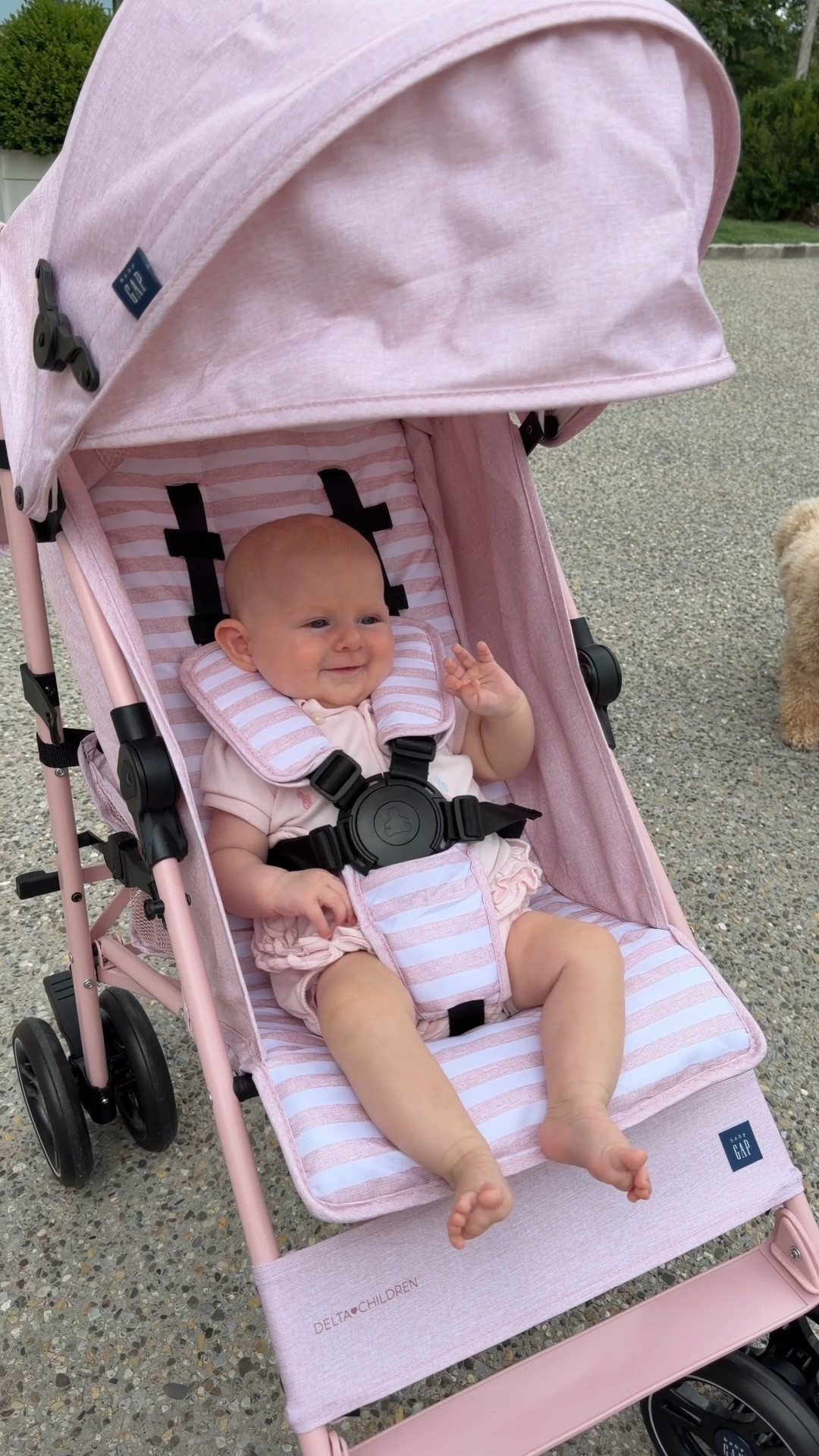 Literally the perfect travel stroller! So lightweight and easy to fold.

#LTKTravel #LTKBaby #LTKKids