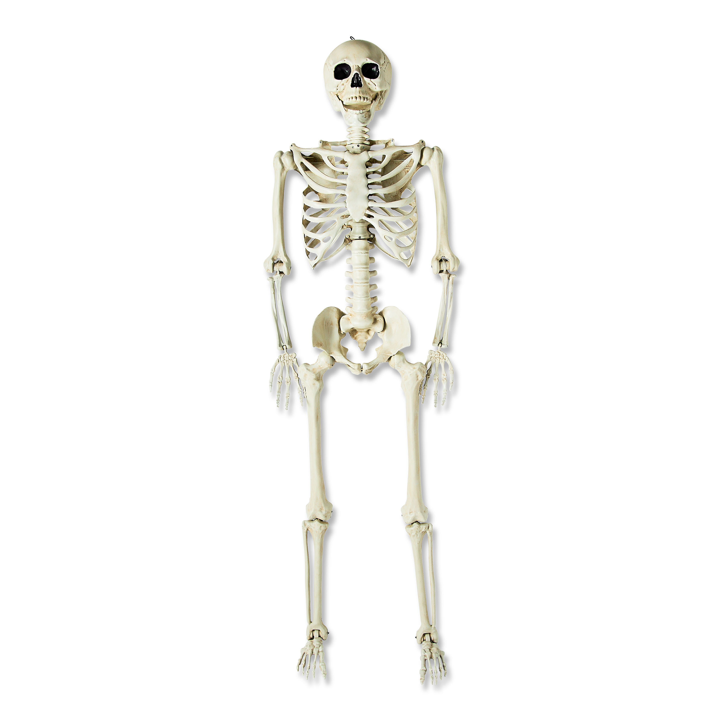 Halloween 7' Faux Posable Skeleton Outdoor Decoration by Way To Celebrate - Walmart.com | Walmart (US)