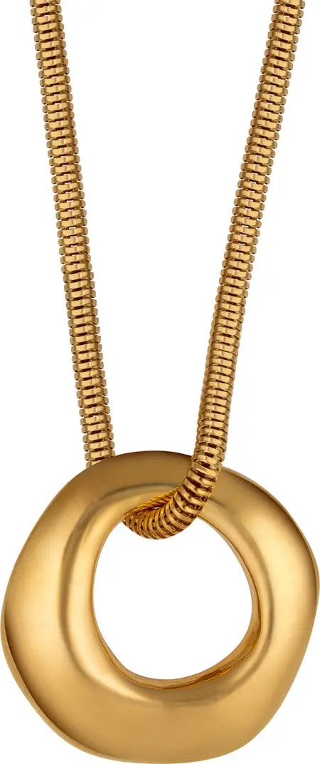 Organic Circle Pendant Necklace | Nordstrom
