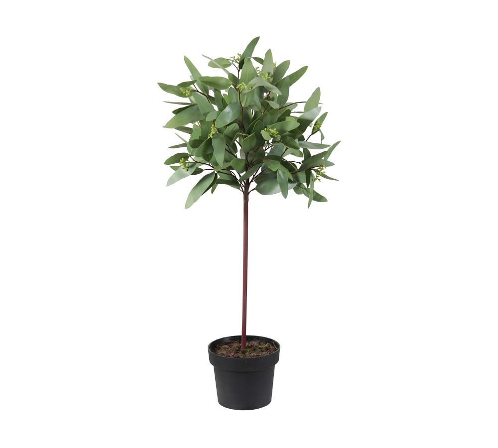 Faux Potted Eucalyptus 30" | Pottery Barn (US)