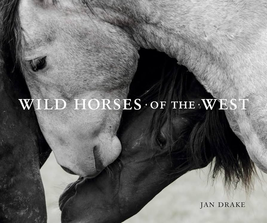 Wild Horses of the West (Wild in the West) | Amazon (US)