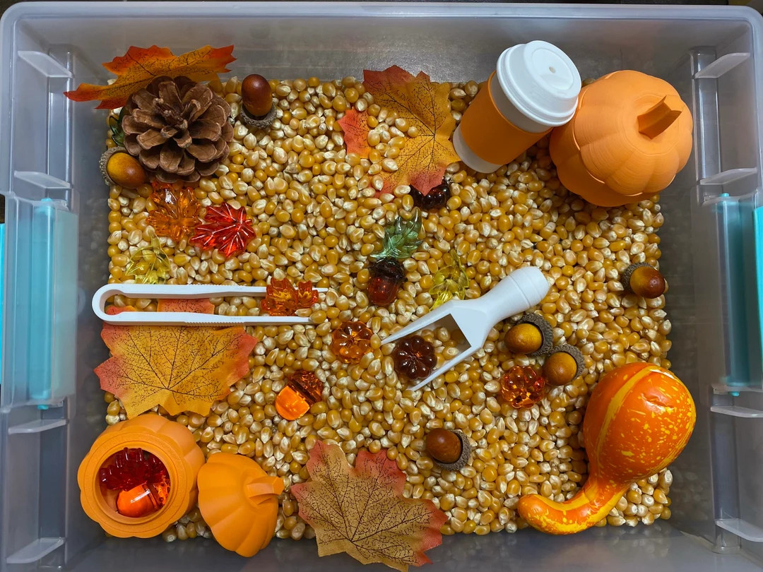 Autumn Harvest Sensory Bin Montessori Fall Play Kit for Kids - Etsy | Etsy (US)