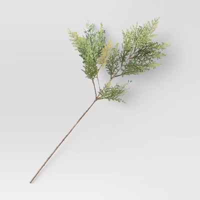 Cypress and Juniper Stem Arrangement Green - Threshold™ | Target