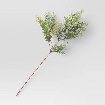 Cypress and Juniper Stem Arrangement Green - Threshold&#8482; | Target