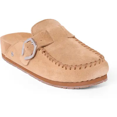 Minnetonka Buckle Clog in Brown at Nordstrom, Size 10 M | Nordstrom