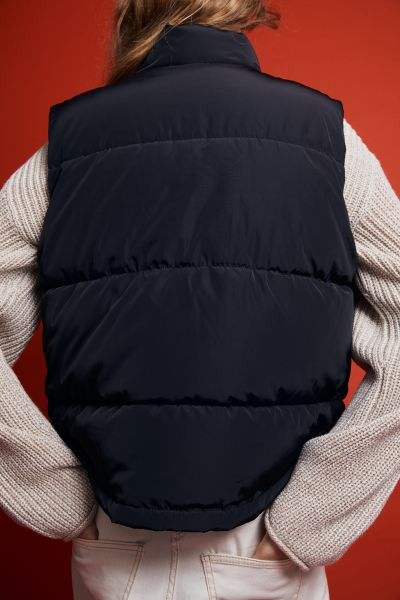 Puffer Vest | H&M (US + CA)