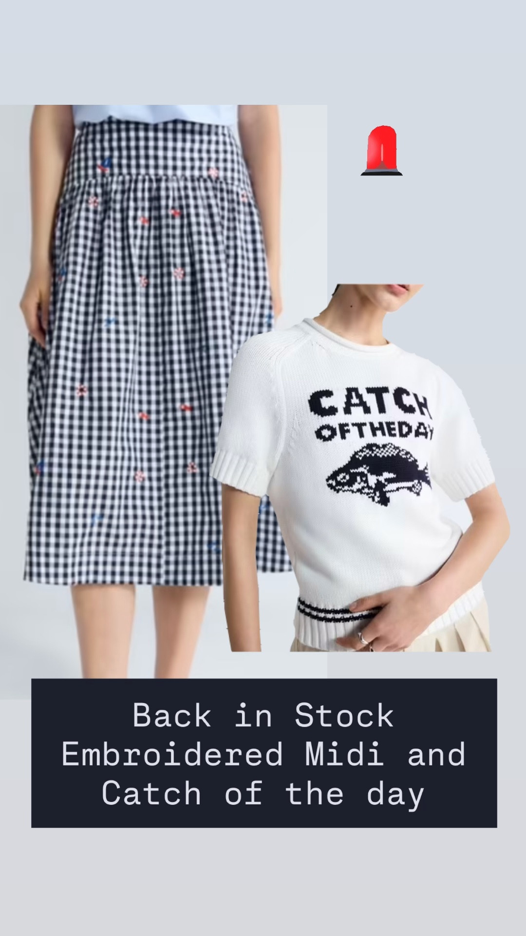 BACK IN STOCK. 🦞♥️🐟🐠🎣