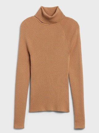 Ribbed Turtleneck Sweater | Banana Republic (US)