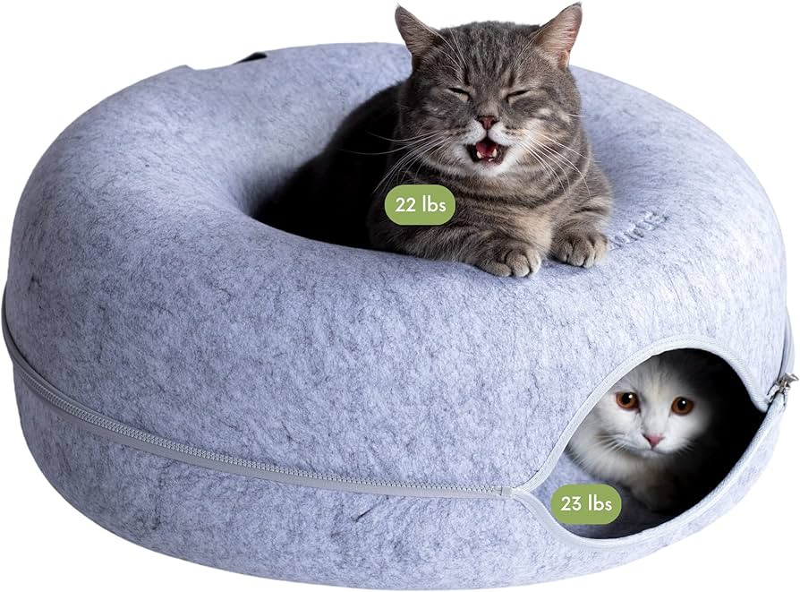 CATTASAURUS Peekaboo Cat Cave for Multiple Cats & Large Cats, for Cats Up to 30 Lbs, Cat Caves fo... | Amazon (US)