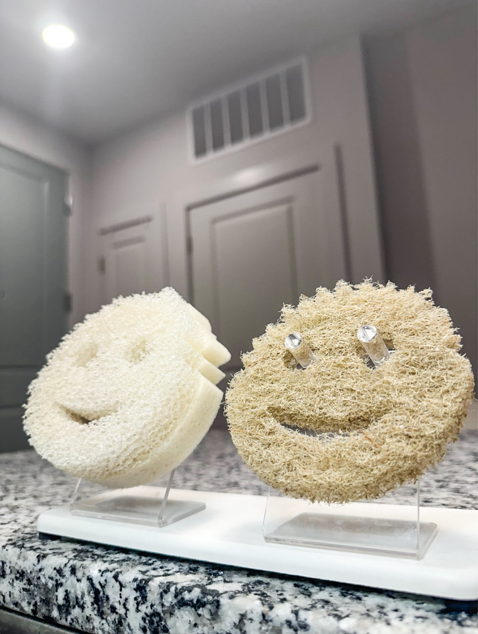 Rather than taking up space inside a small sink, store your sponges on something as cute (and functional) as this! 

#homeorganization

#LTKHome #LTKFindsUnder50 #LTKFamily